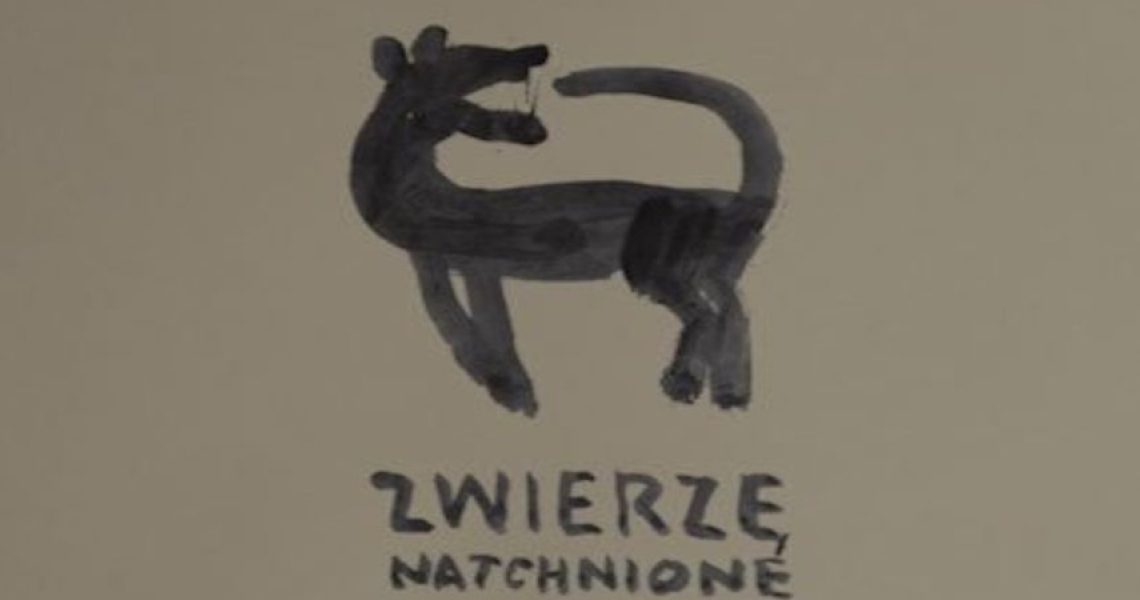 Koncert zespołu &quot;Zwierzę Natchnione&quot; (foto+video)