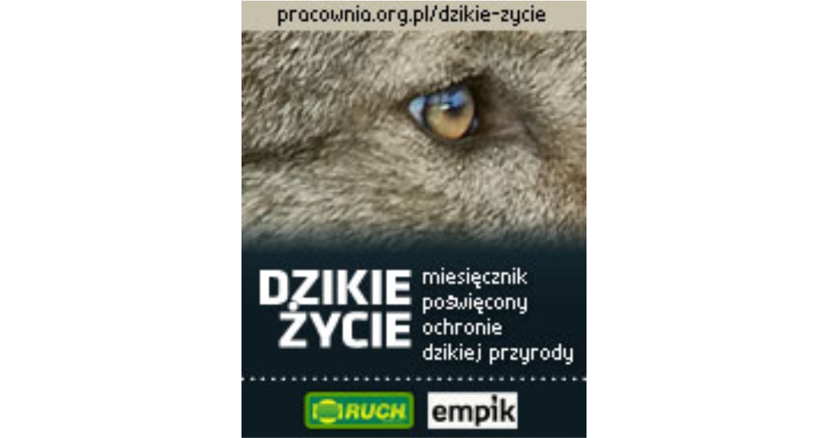Warsztaty dla nauczycieli Szkoły dla przyrody