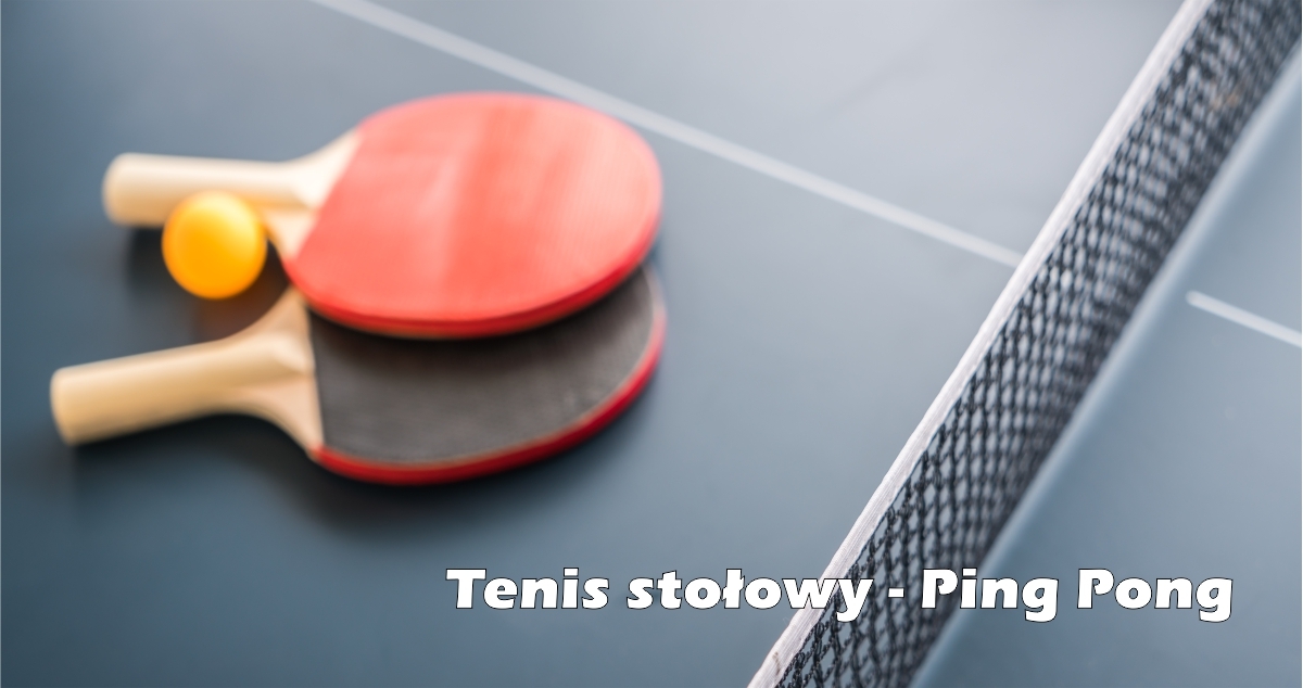 ping_pong_cover