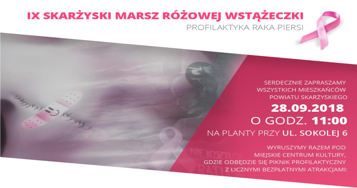 rozowa_wtazeczka_2018_cover