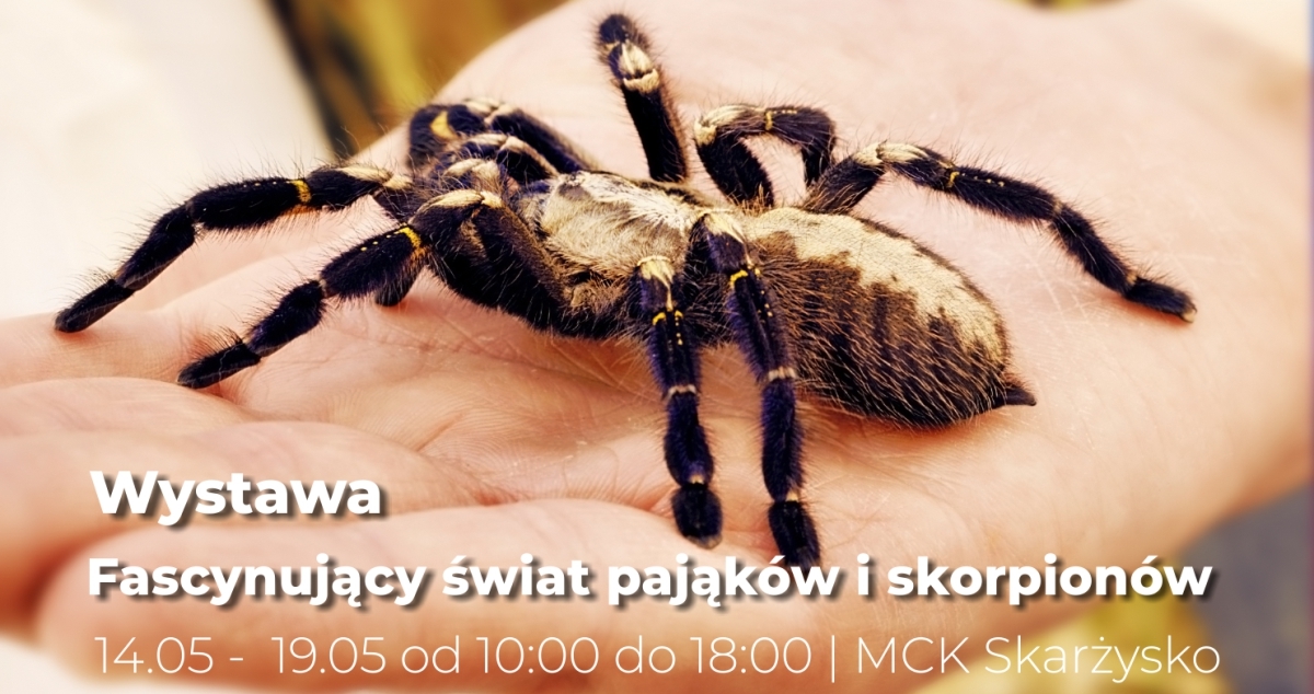 wystawa_fascynujący_swiat_pajakow_cover