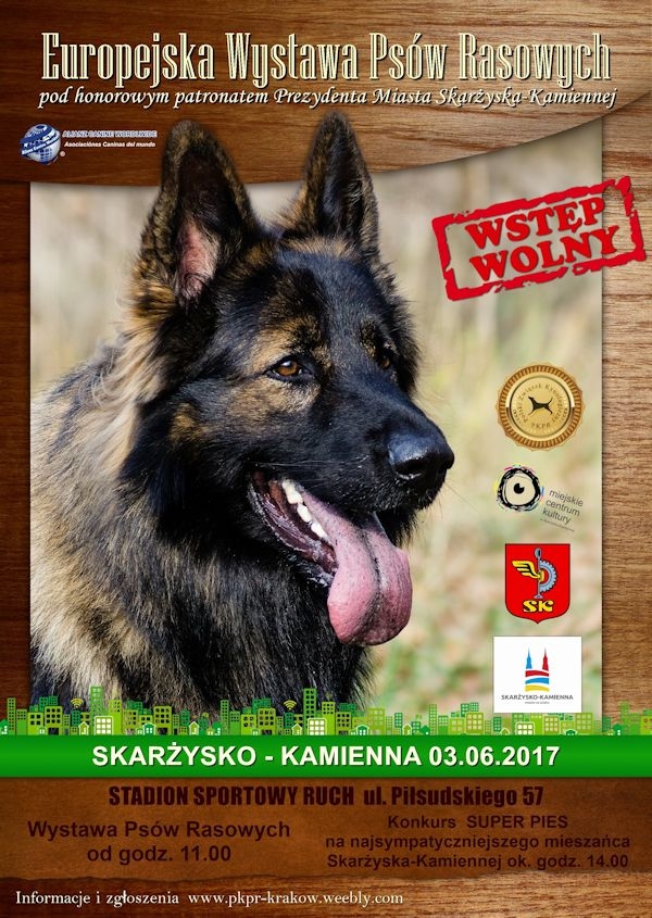 wystawa_psow_rasowych