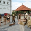 II Festiwal Krzemienia Pasiastego w Sandomierzu