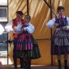Przegląd Szydłowiec - 2009