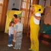 Trąba Słonia Salomona - 2008