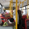 Kolorowy autobus - 2009