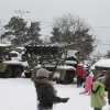Kolorowy autobus - 2009