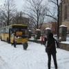 Kolorowy autobus - 2009