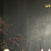 Wiosenne Trele - Koncert Galowy