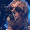 Koncert Czerwone Gitary