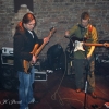 Koncert zespołu Without Percent (W%)