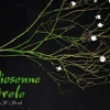 Wiosenne Trele 2011