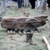 Piknik Archeologiczny RYDNO 2011
