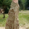 Piknik archeologiczny RYDNO 2012