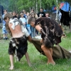 Piknik archeologiczny RYDNO 2012
