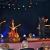 Koncert Andrzeja Cierniewskiego