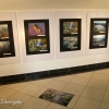 Wystawa &quot;Szczyglate Foty&quot; Foto A. Malinowska