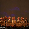 XIV Ogólnopolski Festiwal Zespołów Tanecznych Skarżysko 2015