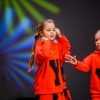 XIV Ogólnopolski Festiwal Zespołów Tanecznych Skarżysko 2015