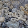 Piknik Archeologiczny RYDNO