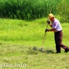 Półkolonie w MCK