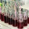 Półkolonie w MCK