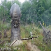 Półkolonie w MCK