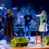 Koncert SIE i Shapeles w MCK