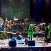 Koncert SIE i Shapeles w MCK