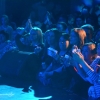 Koncert &quot;AKCENT - Zenon Martyniuk&quot;