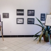 Wystawa fotografii Janusza Buczkowskiego
