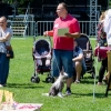 Dni Miasta Skarżyska-Kamiennej 2016 - dzień 3