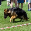 Dni Miasta Skarżyska-Kamiennej 2016 - dzień 3
