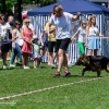 Dni Miasta Skarżyska-Kamiennej 2016 - dzień 3