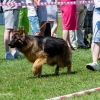 Dni Miasta Skarżyska-Kamiennej 2016 - dzień 3