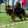 Dni Miasta Skarżyska-Kamiennej 2016 - dzień 3