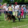 Dni Miasta Skarżyska-Kamiennej 2016 - dzień 3