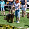 Dni Miasta Skarżyska-Kamiennej 2016 - dzień 3