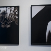 Wystawa fotografii Cezarego Szymkiewicza &quot;Kobieta, Światło, Emocje&quot;