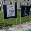 VII SKARŻYSKI MARSZ RÓŻOWEJ WSTĄŻECZKI