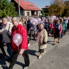 VII SKARŻYSKI MARSZ RÓŻOWEJ WSTĄŻECZKI