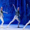 Jezioro łabędzie w wykonaniu Imperial Lviv Ballet 