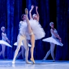 Jezioro łabędzie w wykonaniu Imperial Lviv Ballet 