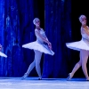 Jezioro łabędzie w wykonaniu Imperial Lviv Ballet 