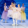 Jezioro łabędzie w wykonaniu Imperial Lviv Ballet 