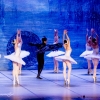 Jezioro łabędzie w wykonaniu Imperial Lviv Ballet 