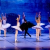 Jezioro łabędzie w wykonaniu Imperial Lviv Ballet 