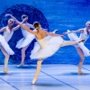 Jezioro łabędzie w wykonaniu Imperial Lviv Ballet 