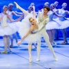 Jezioro łabędzie w wykonaniu Imperial Lviv Ballet 