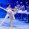 Jezioro łabędzie w wykonaniu Imperial Lviv Ballet 
